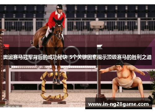 奥运赛马冠军背后的成功秘诀 5个关键因素揭示顶级赛马的胜利之道