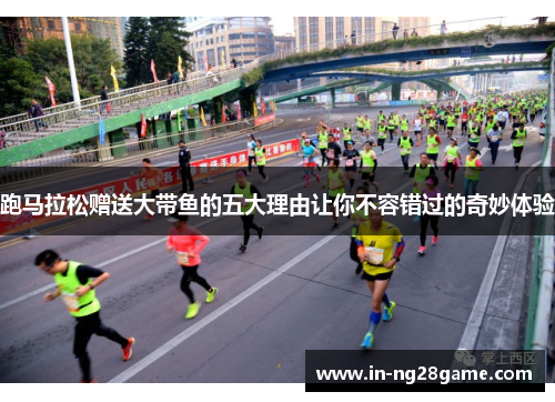 跑马拉松赠送大带鱼的五大理由让你不容错过的奇妙体验