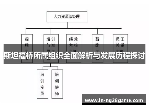 斯坦福桥所属组织全面解析与发展历程探讨 斯坦福桥所属组织全面解析与发展历程探讨