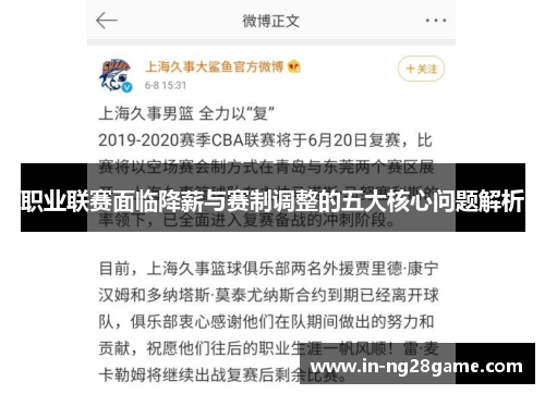 职业联赛面临降薪与赛制调整的五大核心问题解析